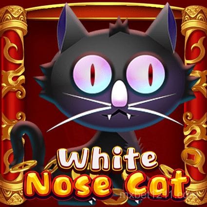 White Nose Cat